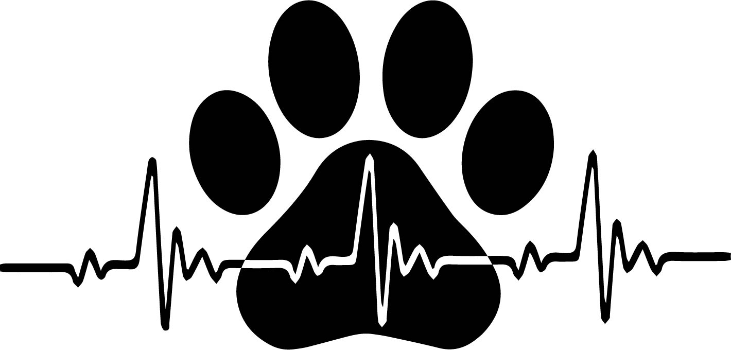 Free Free Paw Svg Free Download 530 SVG PNG EPS DXF File