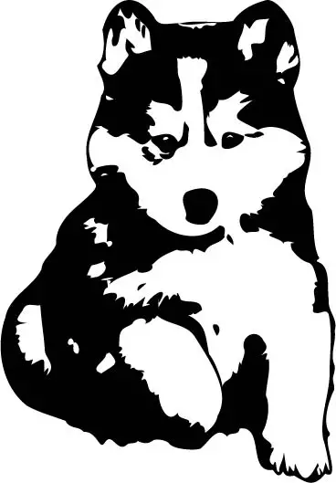 Husky Puppy SVG