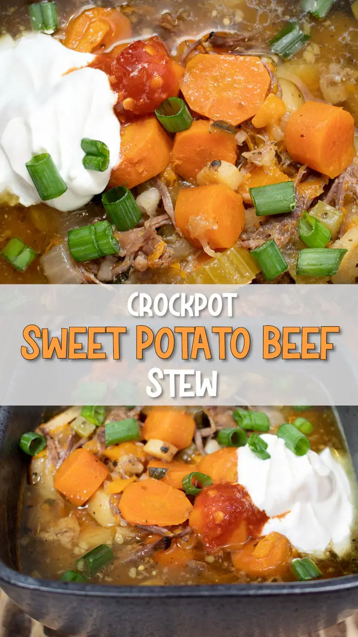 Crockpot Beef Stew With Sweet Potatoes And Parsnips – Frugal Fitz Designs