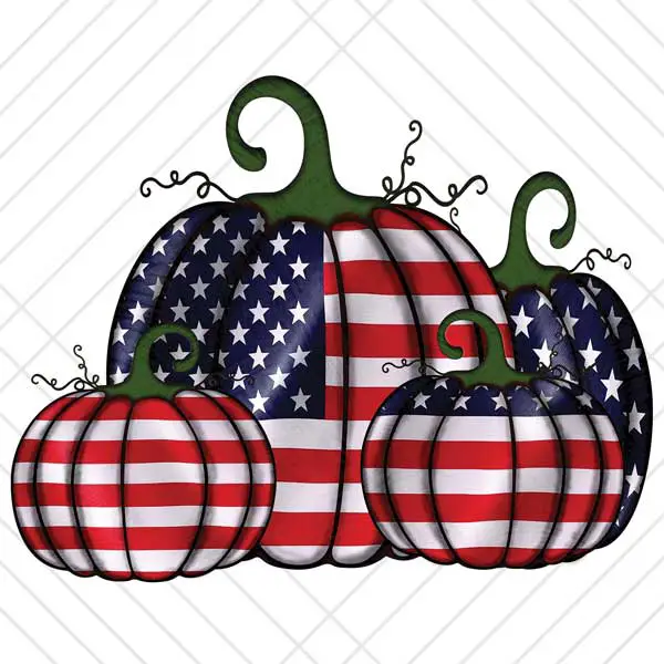 American Flag Pumpkin Patch Sublimation Design PNG for sublimating or wall art